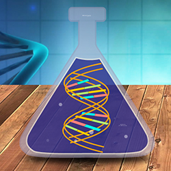 dna-prezi-template