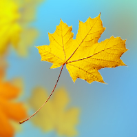 winds-of-change-prezi-template