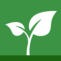 think-green-eco-prezi-template