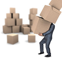 transport-and-delivery-prezi-template