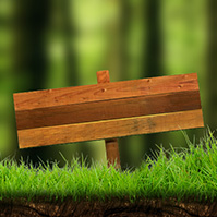 wild-ideas-forest-tree-grass-nature-prezi-template-thumb
