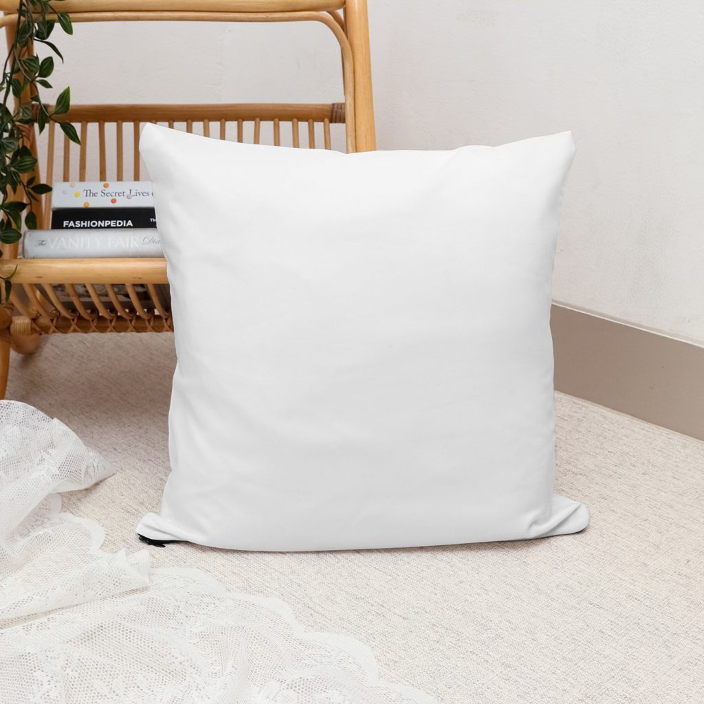 A pillow on the carpet next to a small bookshelf.